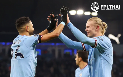 แมวมองแฟนตาซี 24