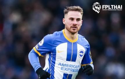 แมวมองแฟนตาซี-DGW29