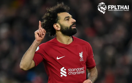 แมวมองแฟนตาซี เกมวีค31