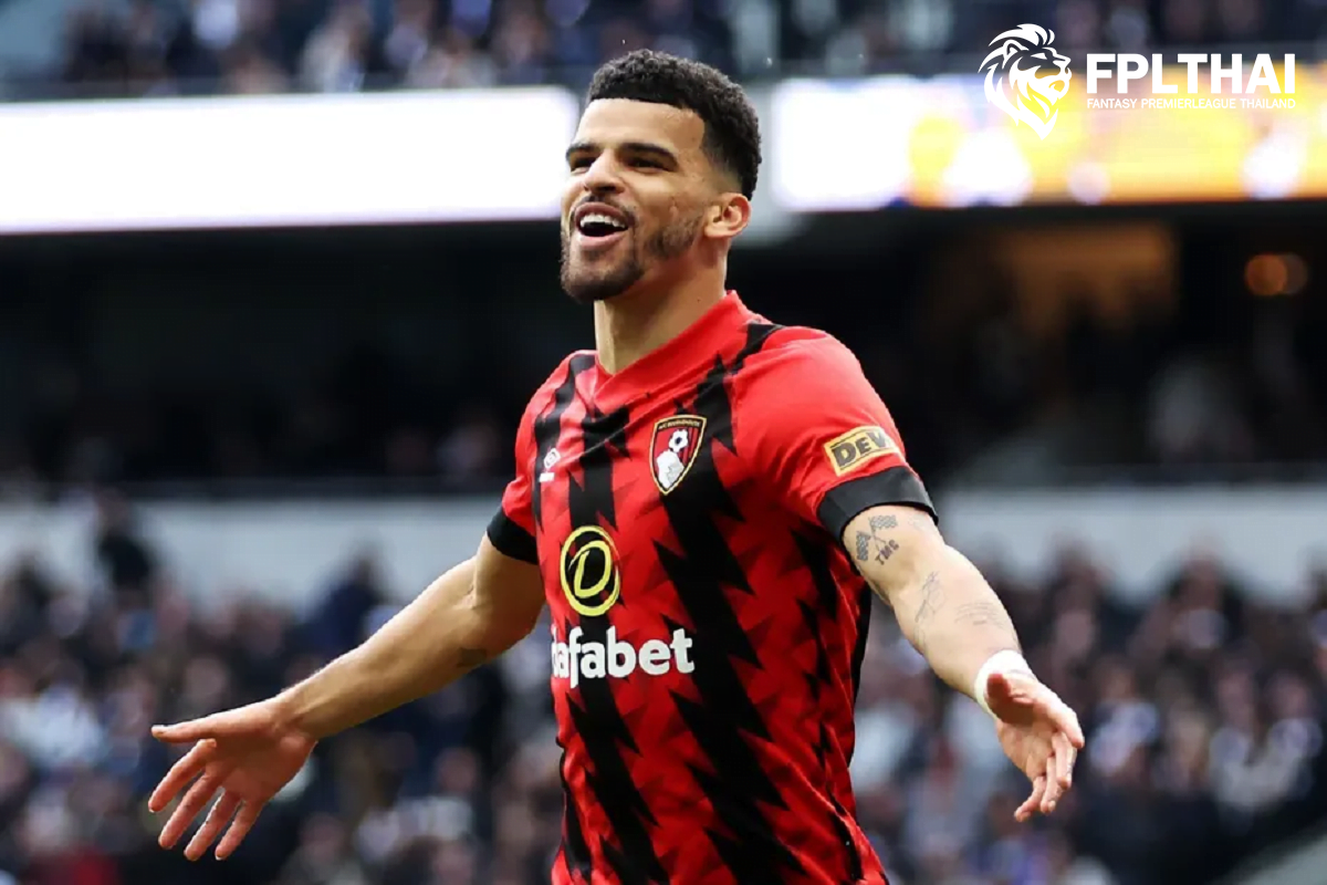 โซลังกี้-FPL