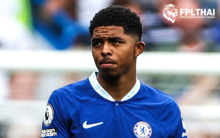 โฟฟาน่า