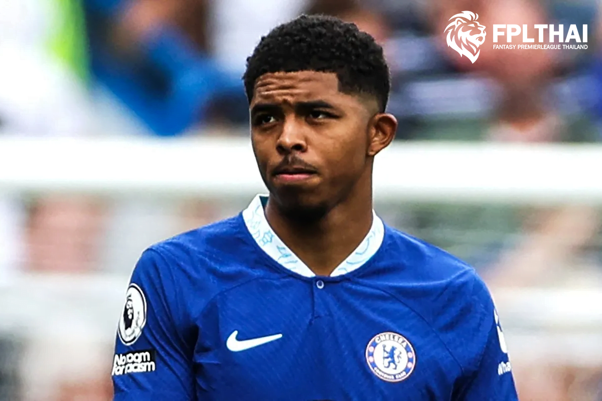 โฟฟาน่า