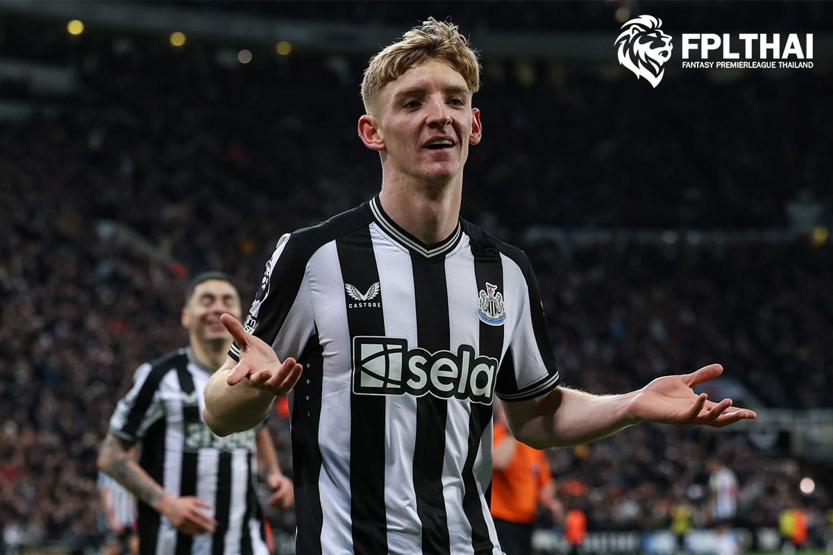 แอนโธนี่ กอร์ดอน