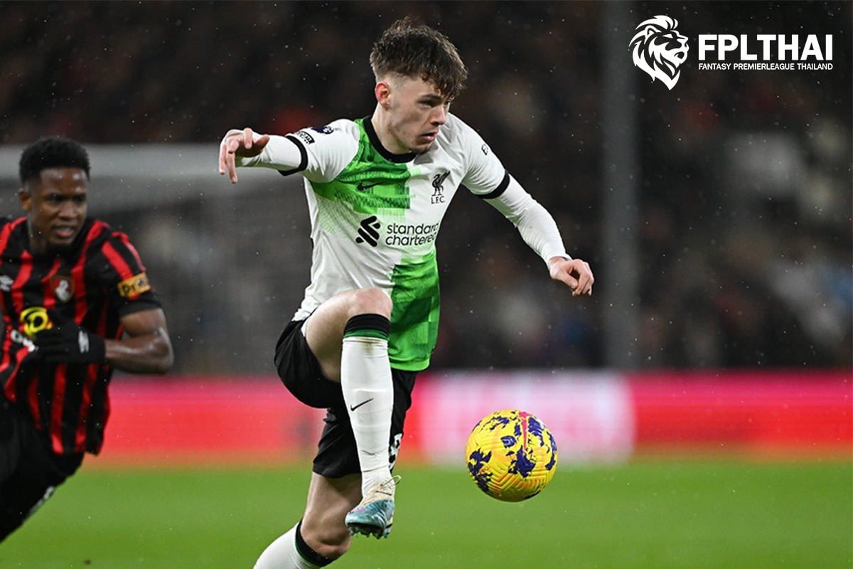 คอนอร์ แบรดลีย์