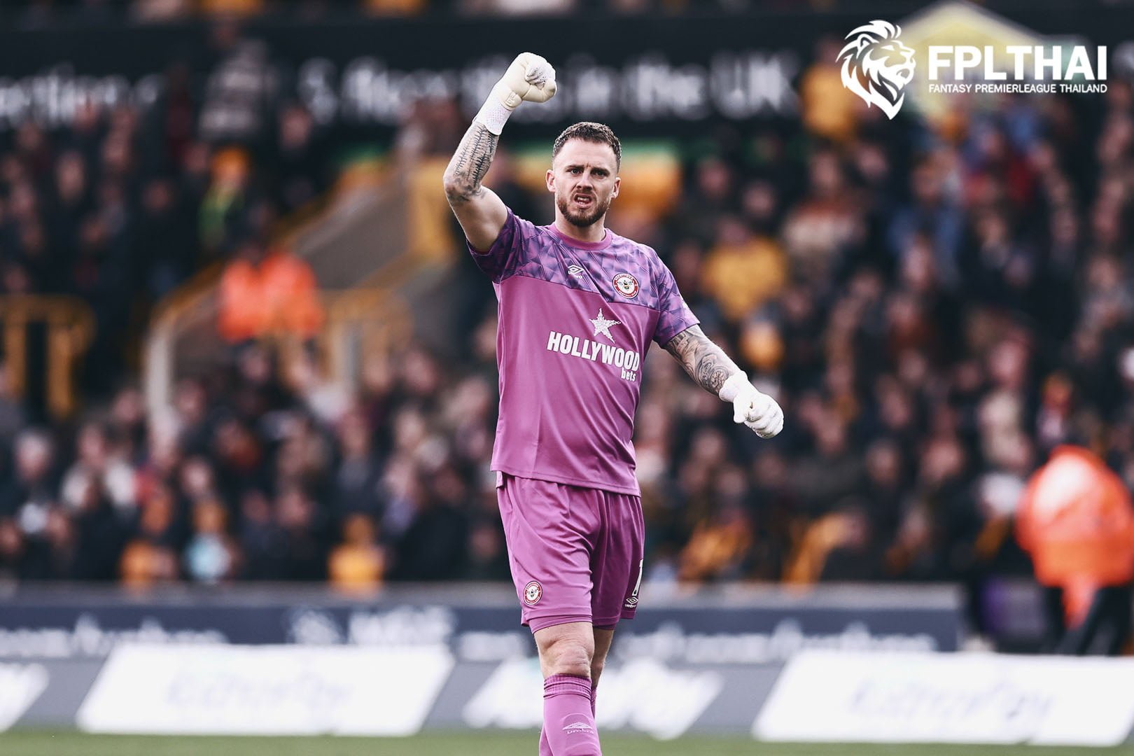 มาร์ค เฟล็คเค่น