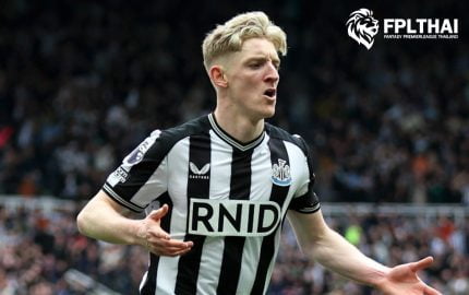 กอร์ดอน