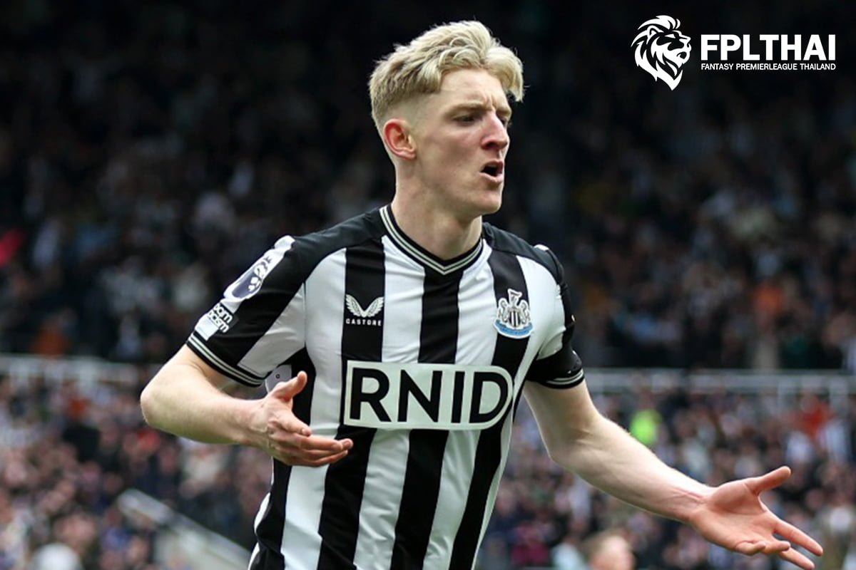 กอร์ดอน