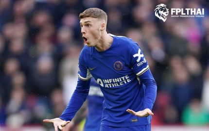 พัลเมอร์