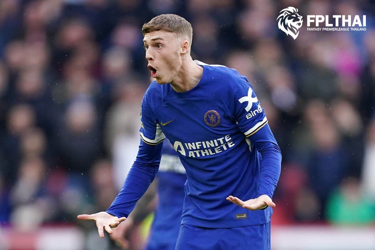 พัลเมอร์