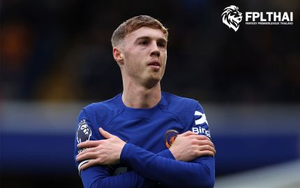 พัลเมอร์