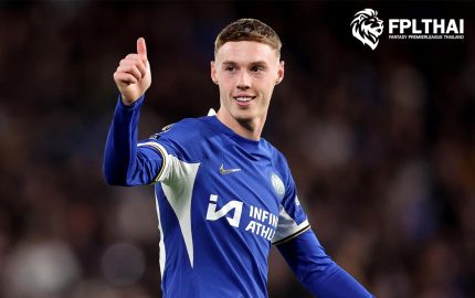 พัลเมอร์