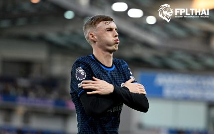 พัลเมอร์