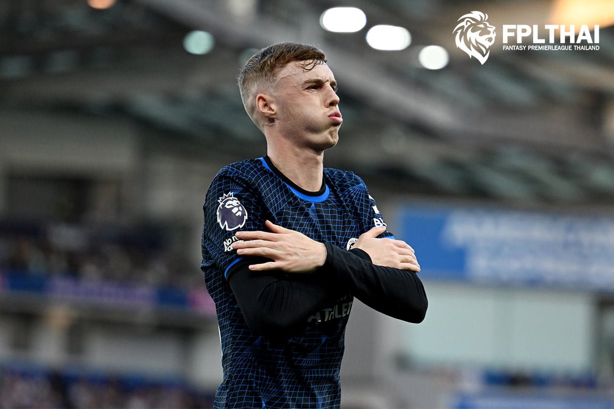 พัลเมอร์