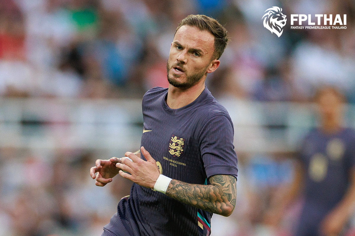 แมดดิสัน