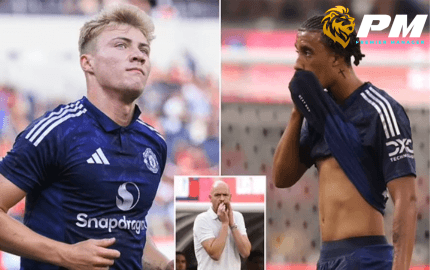 ฮอยลุนด์ โยโร่