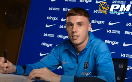 พาลเมอร์