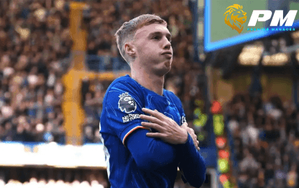 พาลเมอร์