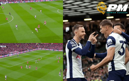 ฟาน เดอ เฟ่น