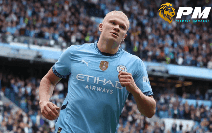 ฮาแลนด์