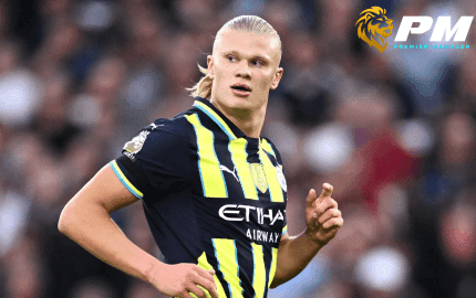 ฮาแลนด์