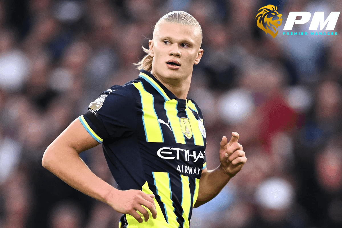 ฮาแลนด์