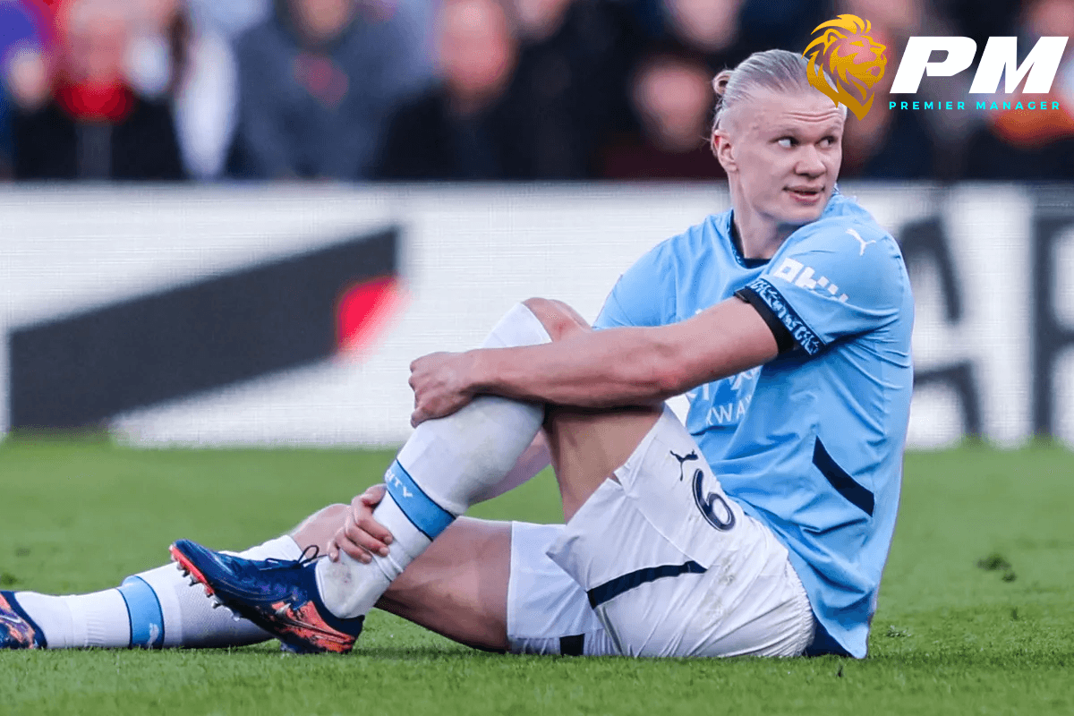 ฮาแลนด์