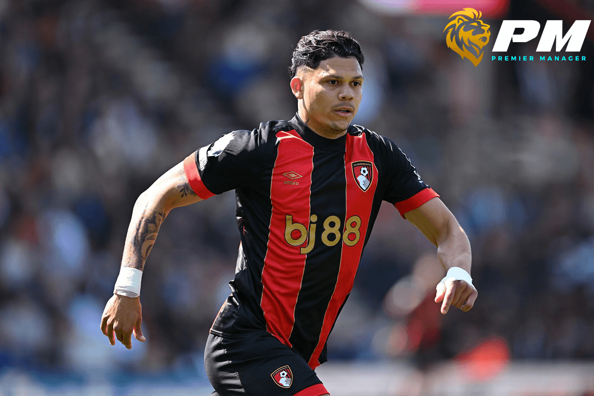 เอวานิลซอน