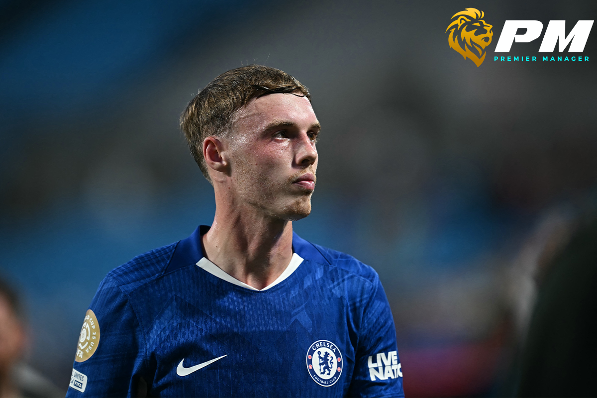 พาลเมอร์