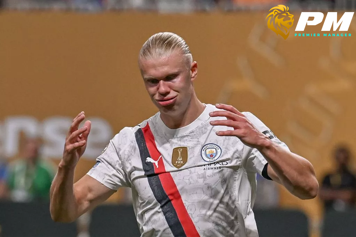 ฮาแลนด์