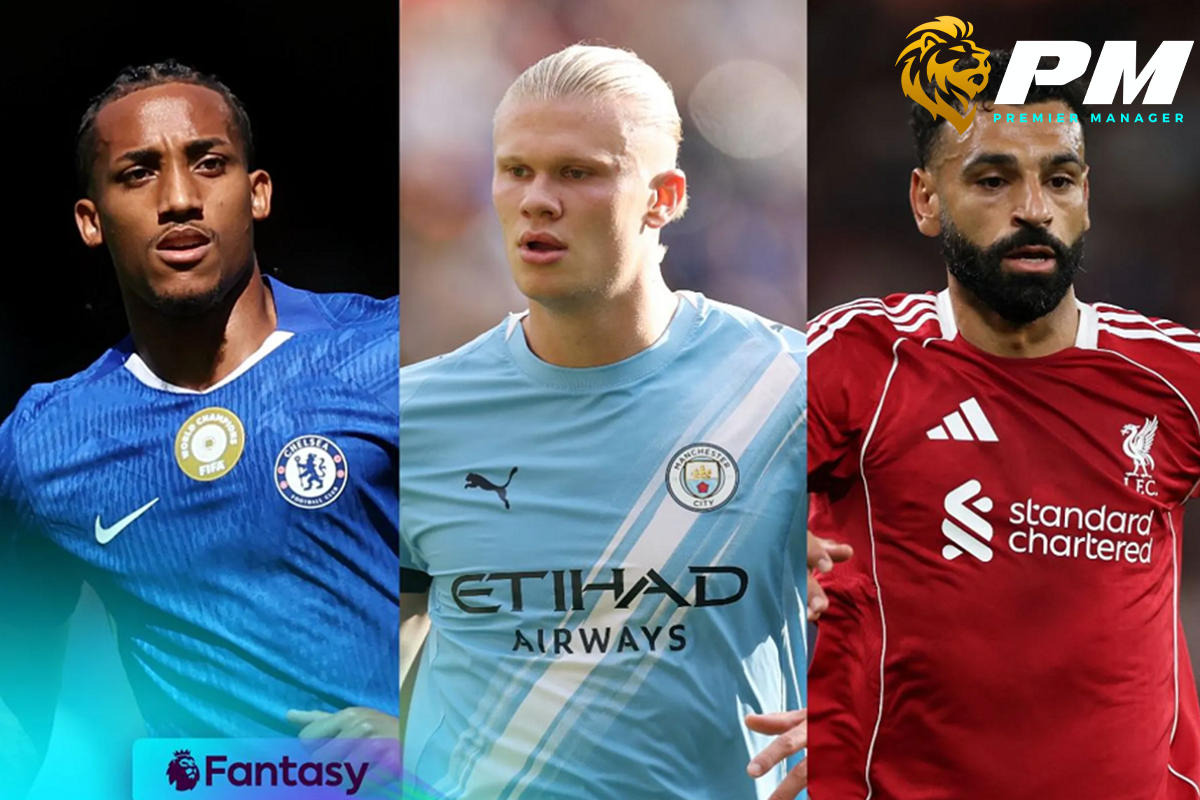 ชูเอา เปโดร-ฮาแลนด์