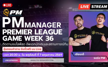 PM-Manager 36